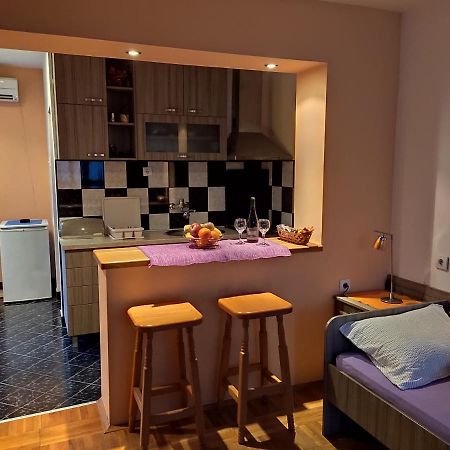 Apartman Ristic Niska Banja Dış mekan fotoğraf