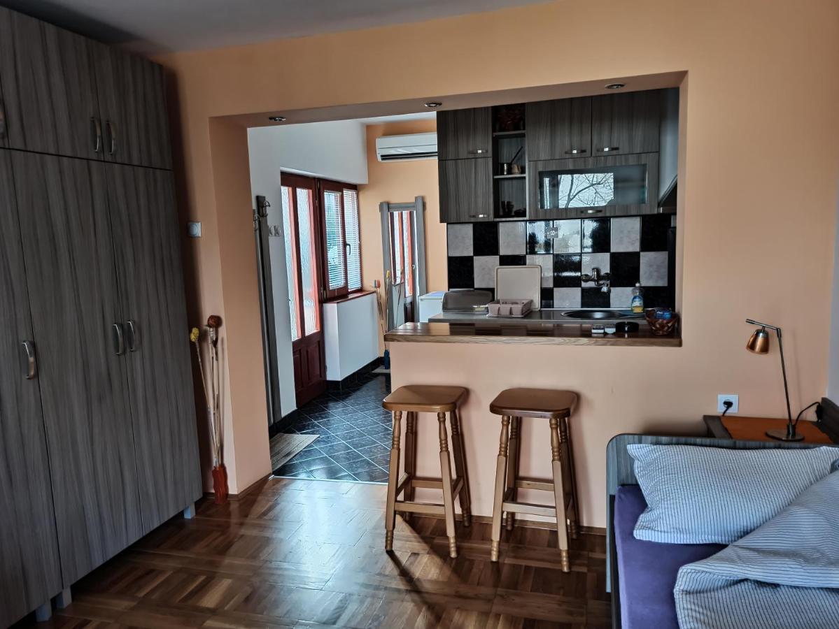 Apartman Ristic Niska Banja Dış mekan fotoğraf
