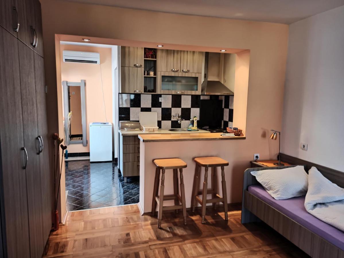 Apartman Ristic Niska Banja Dış mekan fotoğraf