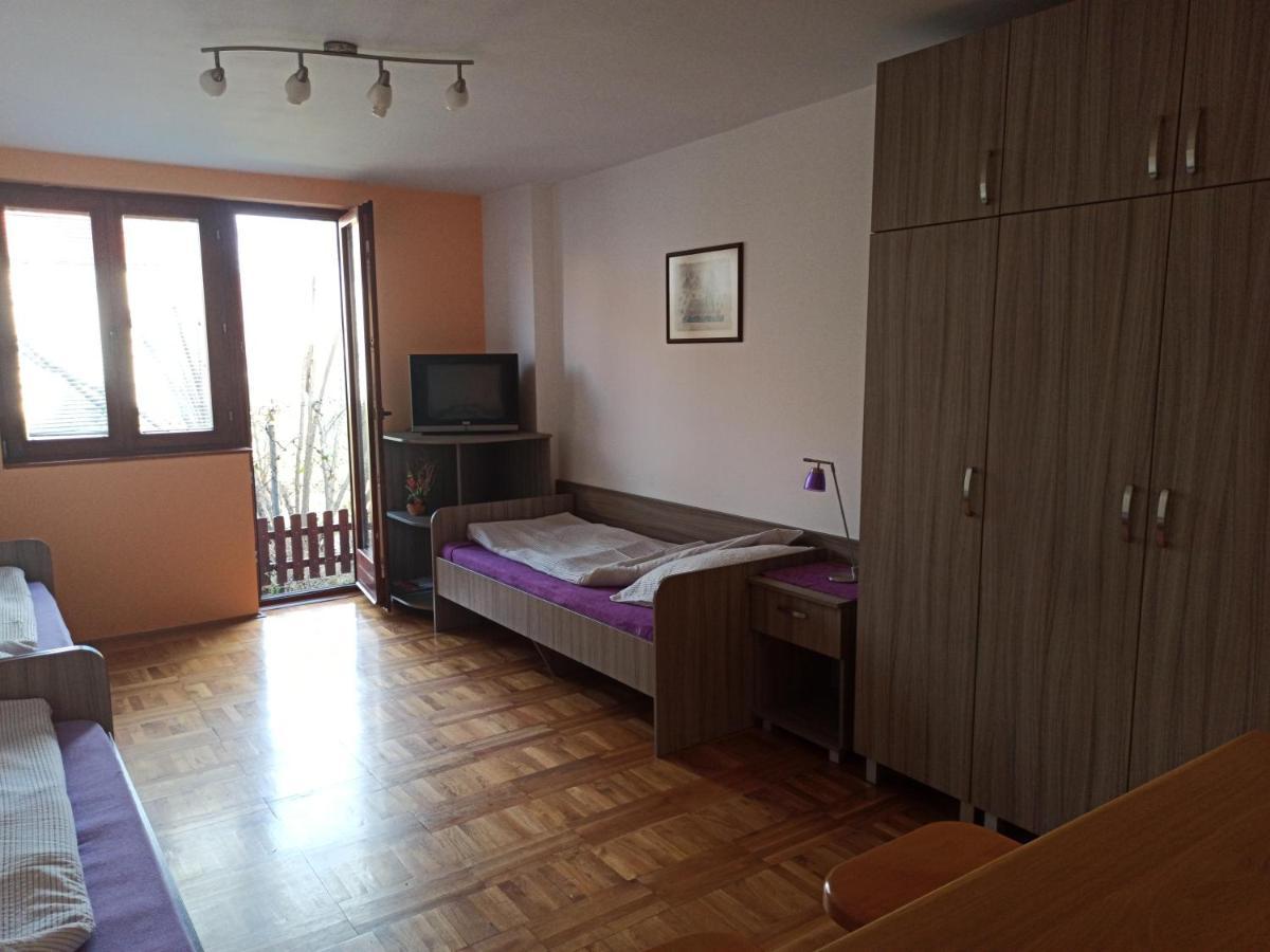 Apartman Ristic Niska Banja Dış mekan fotoğraf